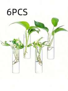 6pcs (With Hooks) Wall Hanging Glass Plant Terrariums, Cylindrical Shape - For Propagating Hydroponics Plants, Home Office Garden Wedding Decor, Suitable For Daily Use & Easter