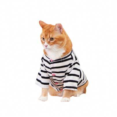 Pet Outdoor Gear Sets