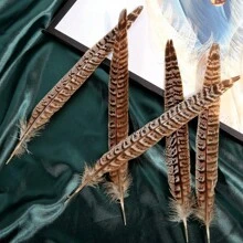 THARAHT 10pcs Women Round Neck Pheasant Feather, Natural Feathers 8-10 Inch/20-25cm, Suitable For Crafts, Home, Wedding, Party, Performance, DIY Decoration - Female Pheasant Feathers