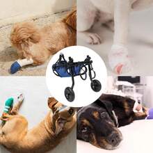 1PC Adjustable Pet Wheelchair - Mobility Aid For Dogs & Cats | Rehabilitation Support & Walking Assistance - Blue - View 6