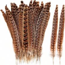 THARAHT 10pcs Women Round Neck Pheasant Feather, Natural Feathers 8-10 Inch/20-25cm, Suitable For Crafts, Home, Wedding, Party, Performance, DIY Decoration - Female Pheasant Feathers