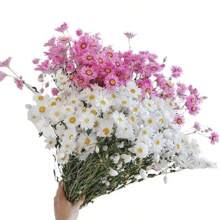 A Bouquet Of Everlasting Flowers Home Decor Floral Arrangement, Small White Daisies Wedding Bouquet