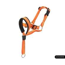 可调节宠物狗口套、训练口罩、防咬防舔面罩，带牵引绳套装 - 彩色 - 查看 9