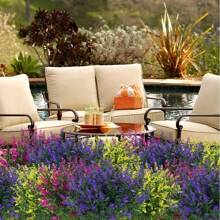 Three Bunches Of Artificial Lavender. They Have Bright And Vivid Colors That Are Not Easy To Fade. The Plastic Simulated Outdoor Plants Are Ultraviolet-Resistant, Suitable For Outdoor Gardens, Courtyards And Garden Decoration. They Are Also Suitable For Decoration In Front Of Doors, On Balconies And Around Windows.