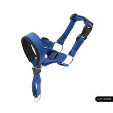 可调节宠物狗口套、训练口罩、防咬防舔面罩，带牵引绳套装 - 彩色 - 查看 8