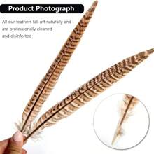 THARAHT 10pcs Women Round Neck Pheasant Feather, Natural Feathers 8-10 Inch/20-25cm, Suitable For Crafts, Home, Wedding, Party, Performance, DIY Decoration - Female Pheasant Feathers