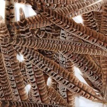 THARAHT 10pcs Women Round Neck Pheasant Feather, Natural Feathers 8-10 Inch/20-25cm, Suitable For Crafts, Home, Wedding, Party, Performance, DIY Decoration - Female Pheasant Feathers