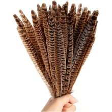 THARAHT 10pcs Women Round Neck Pheasant Feather, Natural Feathers 8-10 Inch/20-25cm, Suitable For Crafts, Home, Wedding, Party, Performance, DIY Decoration - Female Pheasant Feathers