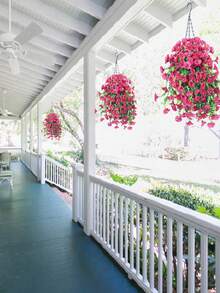 10/6/4/2/1件装户外仿真悬挂花卉，紫红色旋花，适用于婚礼、家居、办公室、花园装饰，仿真花卉搭配桉树叶，抗紫外线，逼真悬挂植物，四季皆宜，可用于感恩节装饰、婚礼拱门、墙面、花园、卧室、户外办公室、派对装饰、户外仿真花卉、户外仿真植物、装饰用仿真花卉，适合作为母亲节礼物、管道装饰、毕业礼物、墙面装饰、乔迁新居礼物、教师节礼物、门廊装饰。 - 玫紅色 - 查看 7