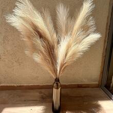 Artificial Reeds, 38"/3.1FT High Plush Artificial Grass, Large Universal Pampas Tree Branches For Floor Vase Filling, Suitable For Bohemian Decoration In Home Kitchens, Room Decoration, Wedding Party Decoration, Fake Plants, Autumn Decoration, Rooms, Desks, Garden Decoration, Room Decoration, DIY Photography Props, Mother's Day, Graduation Season Decoration(Size-97/55/44cm),Fall Decor,Autumn - Beige & Taupe - View 7