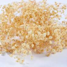 50/100支白色人造满天星花 - 精致耐用，易于DIY，适用于婚礼、家居和办公室装饰、派对和花园 - 桌面波西米亚风花环，无羽毛，无需用电，是圣诞节、感恩节和万圣节的理想圣诞装饰品，也是圣诞礼物和圣诞装饰的绝佳选择。