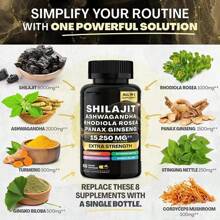 Shilajit 8 en 1 para hombres con ashwaganda, suplemento orgánico del Himalaya con rhodiola rosea, ginseng, cúrcuma y extracto de hongos. Favorece el sistema inmunitario, proporciona energía, calma, concentración, claridad, sueño y cortisol.