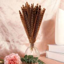THARAHT 10pcs Women Round Neck Pheasant Feather, Natural Feathers 8-10 Inch/20-25cm, Suitable For Crafts, Home, Wedding, Party, Performance, DIY Decoration - Female Pheasant Feathers