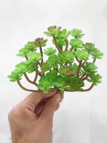 1 pezzo Pianta succulenta artificiale, cactus verde, texture di pianta succulenta, pianta succulenta finta senza vaso, adatta per decorazioni da giardino, interne ed esterne, decorazione per ufficio, decorazione fai-da-te, decorazione per matrimoni, decorazione per feste domestiche, decorazione per cucina, regalo per la festa della mamma