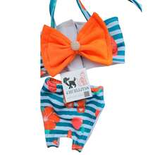 TRAJE DE BAÑO PARA MASCOTAS PERROS O GATOS - Naranja - Ver 2