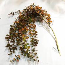 104cm Fake Eucalyptus Rattan Artificial Plants Vine Plastic Tree Branch Wall Hanging Leafs For Home Garden Outdoor Wedding Decor - 104CMYJLBG-h - View 2