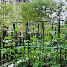 12 pezzi Tubo in plastica e acciaio da 8 mm per pergolati da giardino, supporto per piante rampicanti, sostegno per fiori