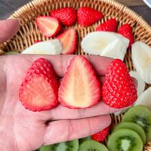 3pcs Set Of Realistic Artificial Fruit Slices, Detailed Fruit Slice Decorations, Toys, Photography Props, Candy House Decor, Strawberry, Banana, Kiwi, Orange, Cucumber, Corn, Cookie, Lemon, Blueberry, Broccoli, Suitable For Holiday, New Year, Christmas, Birthday Party Decoration, Home Decor, Fake Fruit - Fruit Slices - View 3