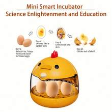 Mini Household Egg Incubator, Small , With Egg Candler,USB,Incubator With Temperature Display, Lightweight Transparent Window, Fits Eggs Of Chicken, Duck, Quail, Goose, Humidity Control, Automatic Temperature Control, Manual Egg Turning, Educational