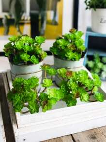 1 pezzo Pianta succulenta artificiale, cactus verde, texture di pianta succulenta, pianta succulenta finta senza vaso, adatta per decorazioni da giardino, interne ed esterne, decorazione per ufficio, decorazione fai-da-te, decorazione per matrimoni, decorazione per feste domestiche, decorazione per cucina, regalo per la festa della mamma