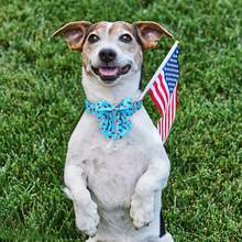 Babole Pet 4th Of July Dog Collar With Bow Tie - Patriotic American Flag Adjustable Pet Collar For Small/Medium/Large Dogs, Red White Blue Ice Cream Design, Metal Buckle - Independence Day Pet Accessories - Ice-cream - View 5