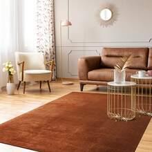Soft Area Rug In Solid Colors - Washable & Anti-Slip Backing - Red - Grey - Black - Pink - Creamy White - Beige - Bronze - Navy Blue - Silver - Champagne - Dark Grey - 3X5 - 4X6 - 5X7 - 6X9 - 8X11 - 銅色 - 查看 1
