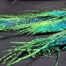 10/20pcs Artificial Peacock Feathers - Realistic Green And Blue Feathers, 11.81-15.75 Inches Long, Made Of Polyester Fiber, Ideal For DIY Crafts, Vase Fillers, Party Decorations, Weddings And Home Decor, Party Decorative Feathers | Realistic Feather Effect | Durable Polyester, Peacock Feather Decor