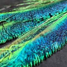 10/20pcs Artificial Peacock Feathers - Realistic Green And Blue Feathers, 11.81-15.75 Inches Long, Made Of Polyester Fiber, Ideal For DIY Crafts, Vase Fillers, Party Decorations, Weddings And Home Decor, Party Decorative Feathers | Realistic Feather Effect | Durable Polyester, Peacock Feather Decor