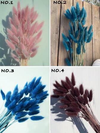 60/120/180/240 件天然干花装饰，天然干兔尾草花，干蒲苇，用于家居装饰、婚礼装饰、派对装饰、DIY 工艺品、拍摄道具、主题装饰，17.7 英寸（白色）