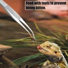 不锈钢精密镊子，弧形设计，厚身，手柄舒适，抓握牢固，多功能锯齿钳，适用于水族馆、工艺品、水生植物、爬行动物、喂食工具、玻璃容器配件