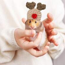 手工编织宠物帽，迷你宠物帽，可爱动物帽，包括考拉、青蛙、编织、仓鼠、鸟