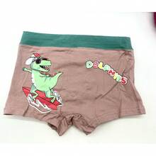 3 PIEZAS CALZONES ALGONON PARA NIÑO CON LINDO ESTAMPADO MULTICOLOR DISENO AMINALES - Café integral - Ver 5