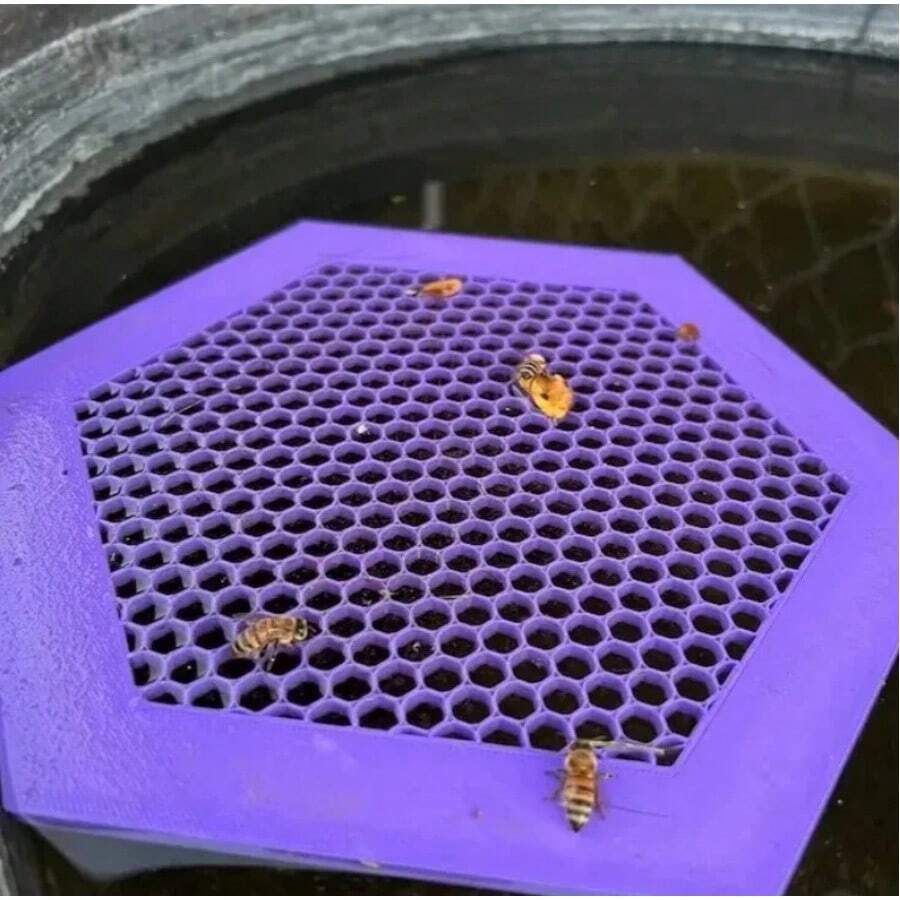 Isla flotante para abejas - Bebedero hexagonal para abejas, bandeja de acrílico para insectos, configuraciones de apicultura, atrayendo insectos, bebederos, copas de captura - Morado - Ver 1