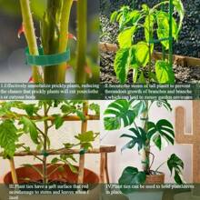 10 Multi-Functional Nylon Buckle Straps With Hooks And Loops, Reusable And Adjustable, Used For Climbing Plants, Supporting And Gardening Applications, Maintenance Tools | Stable Fixation, Organizing Homes And Offices