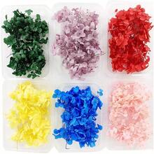 1盒多色绣球花干花 - 非常适合DIY工艺品、蜡烛、婚礼、DIY手工、圣诞节