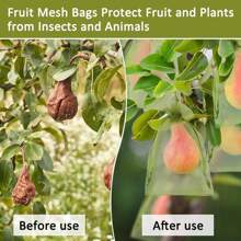 50pcs Plant Protection Bags, Plant Support Bags, Grape Protection Bags, Fruit & Vegetable Protection Bags. For Growing Protection Of Strawberries, Lychee, Citrus, Grapes, Apples, Pears, Cherries, Blackberries, And Other Fruits, Drawstring Net Bags, Anti-Bird, Anti-Insect, Anti-Animal Chewing