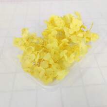 1盒多色绣球花干花 - 非常适合DIY工艺品、蜡烛、婚礼、DIY手工、圣诞节