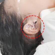 100pcs Of Advanced Waterproof Ear Covers - Odorless, Soft And Comfortable, Suitable For Swimming, Showering And Washing Hair Waterproof & Swimming Ear Protection Cover - Durable Disposable Ear Covers