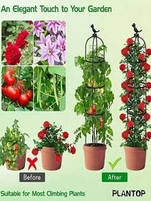 1个可调节塑料和玻璃纤维花架，适用于盆栽植物、藤蔓植物、室内外装饰植物塔 - 彩色 - 查看 6