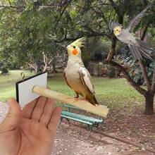 fn pets Natural Perch For Cage And Aviary – Cockatiels, Parakeets And Lovebirds, Bird, Pet - Nhiều màu - Xem 3