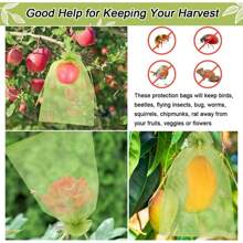 50pcs Plant Protection Bags, Plant Support Bags, Grape Protection Bags, Fruit & Vegetable Protection Bags. For Growing Protection Of Strawberries, Lychee, Citrus, Grapes, Apples, Pears, Cherries, Blackberries, And Other Fruits, Drawstring Net Bags, Anti-Bird, Anti-Insect, Anti-Animal Chewing