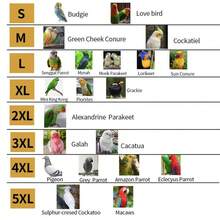 Parrot Release Leash, Tiger Print Peony Phoenix Small Bird Flying Harness Leash, Outdoor Training Leash For Pigeons - Multicolor - View 7