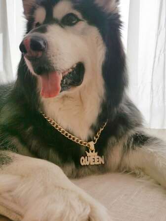 1pc Bling CZ Crown Decor Pet Necklace, Sturdy Alloy Big Gold Chain Pendant For Cats Dogs, Flashy Shiny Streetwear Hip Hop Punk Fashion Accessory For Bulldog Golden Retriever Labrador