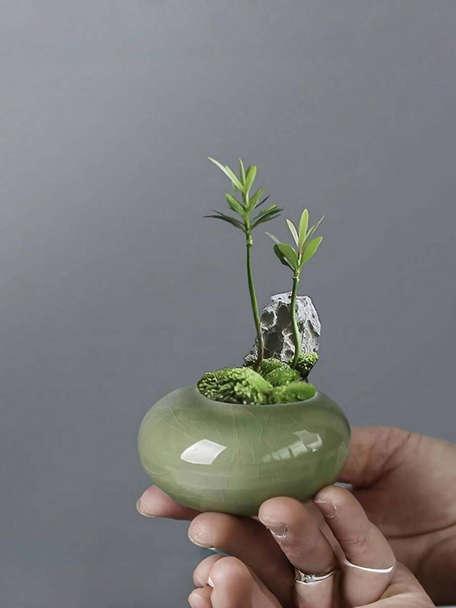 1 pezzo Vaso, ceramica creativa, mini da tavolo, adatto per piante verdi, bambù e cipresso, adatto per camera da letto, soggiorno, sala da pranzo e hotel