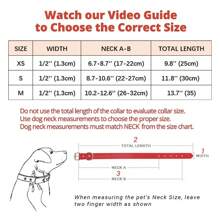 1pc Pu Leather Cat Collar With Gold Star, Moon & Rivet Decoration, Adjustable For Small Dogs Such As Chihuahua, Dachshund, Teddy