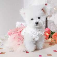 1 pezzo Vestitino per cane in stile principessa con cuore rosa e pon pon, per cani di piccola taglia come Yorkshire Terrier, Barboncino, Bichon Frise, Teddy Bear. Regalo ideale per la festa della mamma, vacanze o per animali domestici