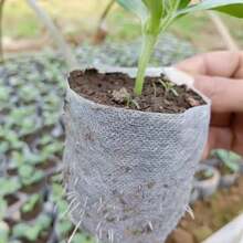 100pcs Nursery Bag Plant Grow Bags Non-Woven Fabric Seeds For Seeding Flower Pots Home Garden Accessories Tools 8*10cm