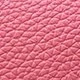 Rosa Fucsia