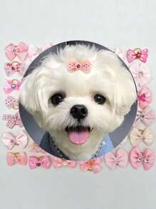 10 Stücke Haarzubehör für Haustiere, Schleifenkopfschmuck, Blumenkopfschmuck im Prinzessinnenstil, Haarspangen und Gummibänder für Hunde, die schönsten Geburtstagsgeschenke für Haustiere, Feiertagsgeschenke, Haustierzubehör, Haustierdekorationen