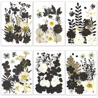 Dried Pressed Flowers & Leaves Set, Perfect For Resin Art, DIY Art, Dry Leaves, Nails Decor, Candle, Jewelry, Bookmarks & More!